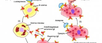 Аллергический дерматит