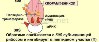 Bacteriostatic effect of the substance