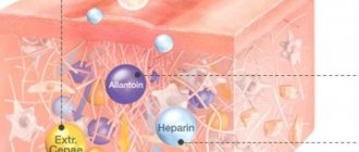 Mechanism of action of the drug