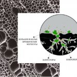 In the photo: a greatly enlarged structure of activated carbon and the principle of carbon adsorption