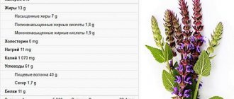 Sage for the face: oil, ice, hydrosol, decoction. Benefits and Applications 