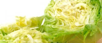 Fresh cabbage