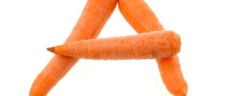 Витамин A в моркови