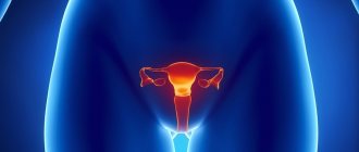 inflammation of the uterus and appendages